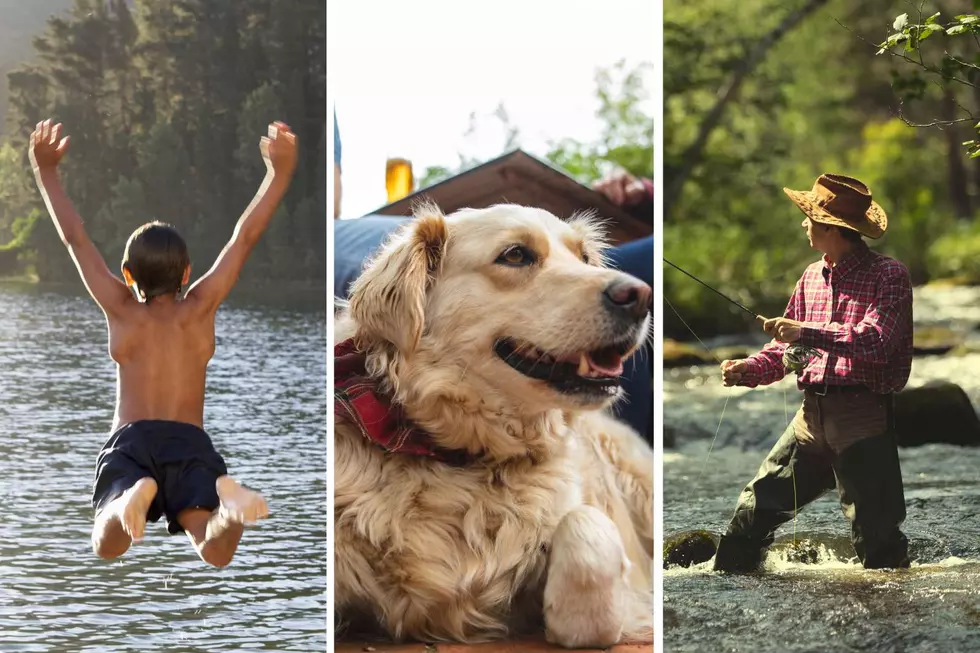 Colorado Has 8 Great Things on the USA Today ’10 Best’ List for Spring/Summer 2025