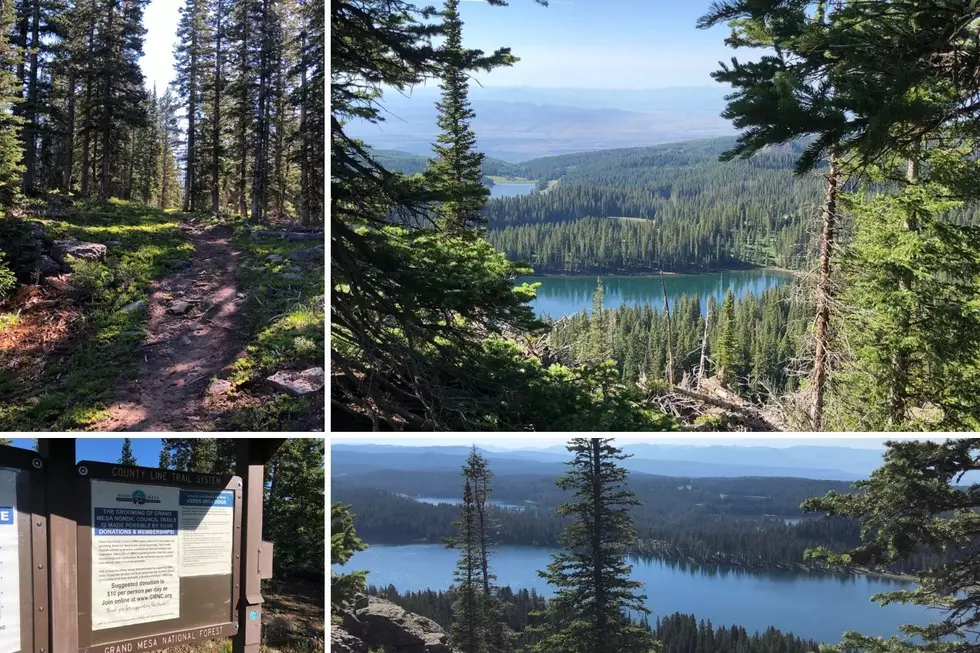 Explore the Grand Mesa’s Hidden Overlooks on Colorado’s County Line Trail