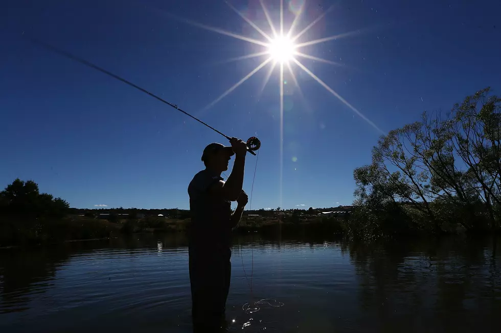 Heat And Low Water Is Tough On Fish