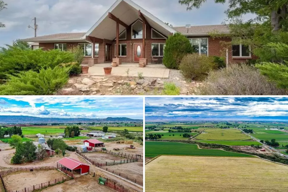 Tour Beautiful Western Colorado Farm Described as a Hidden Gem