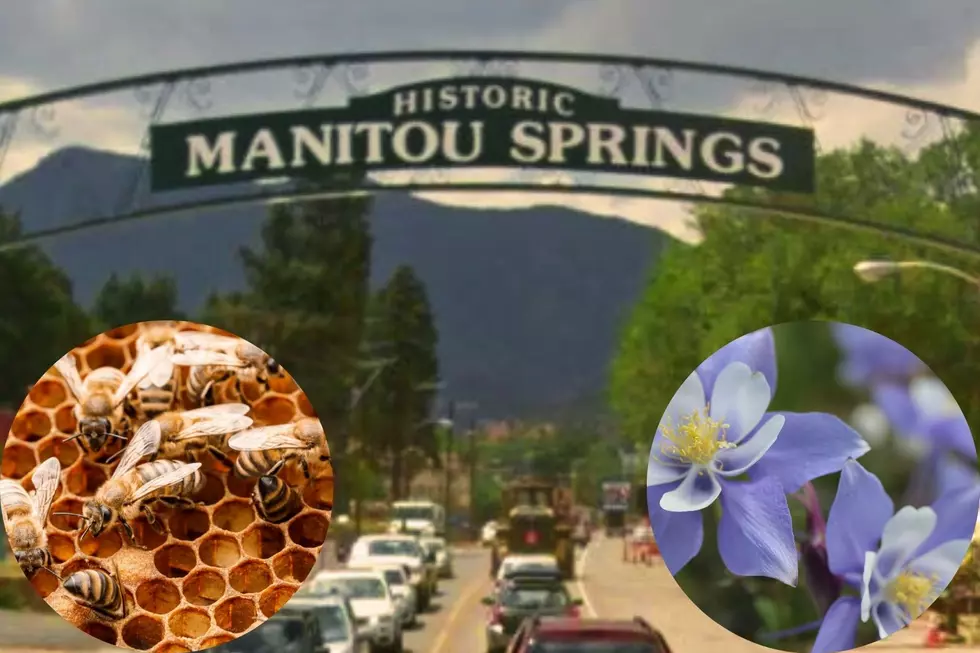 Colorado is Home to the World’s First Pollinator District