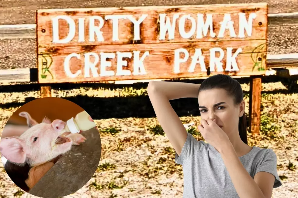 What’s the Story Behind Colorado’s Dirty Woman Creek Park?