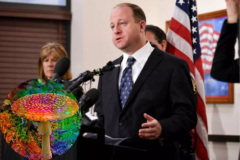 Pardons for Psychedelic Possession Convictions Could Come to Colorado